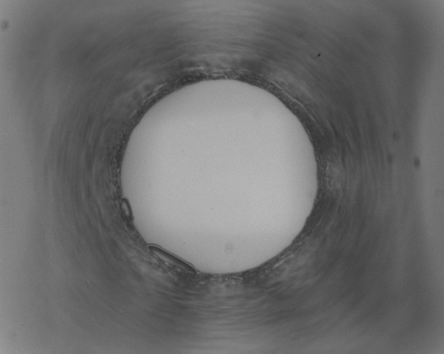 X0000077400865200611032024