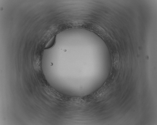 X0000077400866200611032024