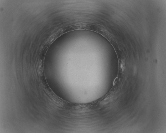 X0000077400867200611032024