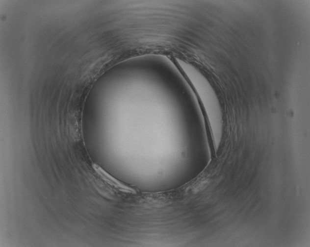 X0000077400868200611032024