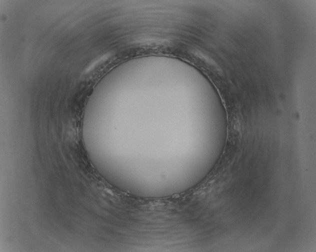 X0000077400869200611032024