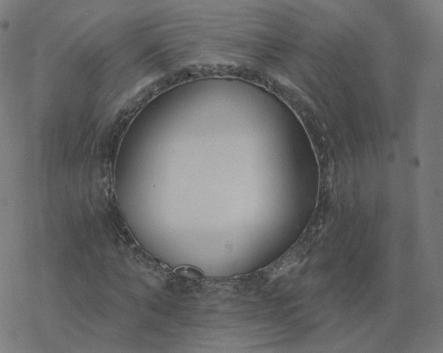 X0000077400870200611032024