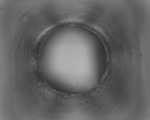 X0000077400872200611032024