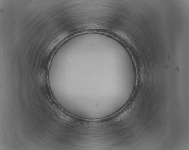 X0000077400873200611032024