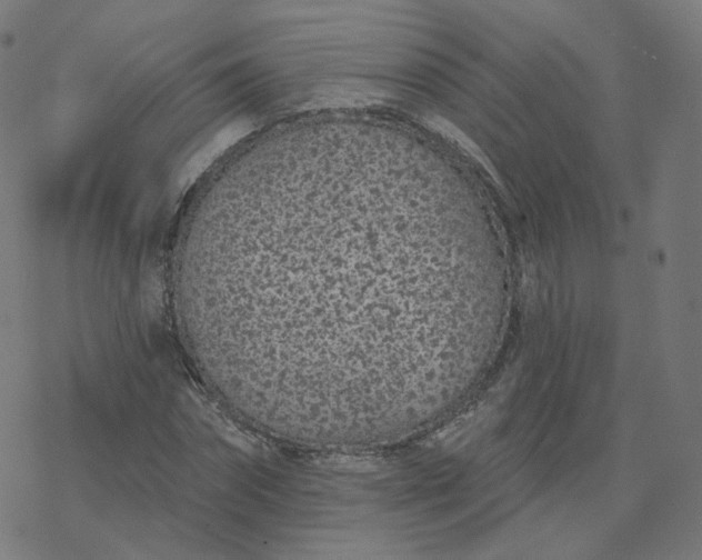 X0000077400874200611032024