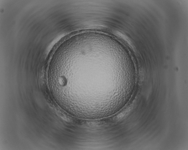 X0000077400875200611032024