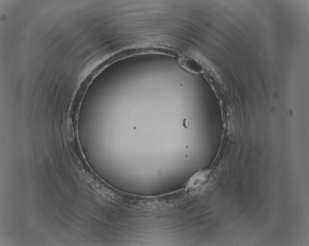 X0000077400876200611032024