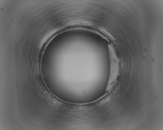 X0000077400877200611032024