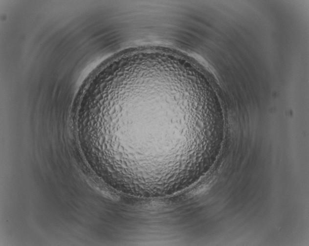 X0000077400879200611032024