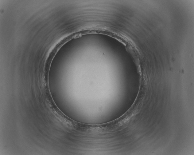 X0000077400880200611032024