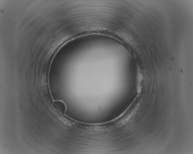 X0000077400881200611032024