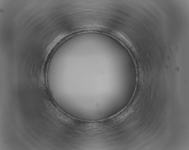 X0000077400883200611032024