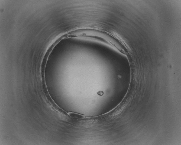 X0000077400884200611032024