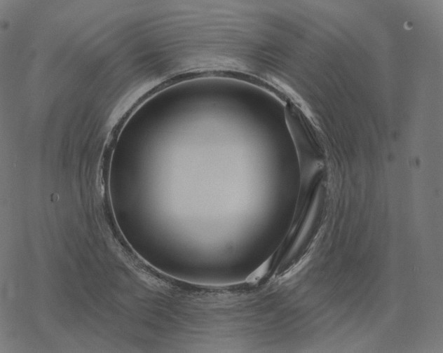 X0000077400885200611032024