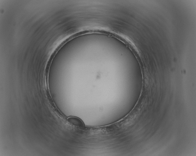 X0000077400887200611032024