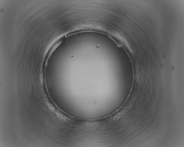 X0000077400888200611032024