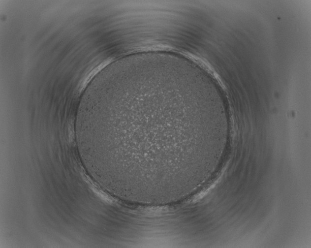 X0000077400889200611032024