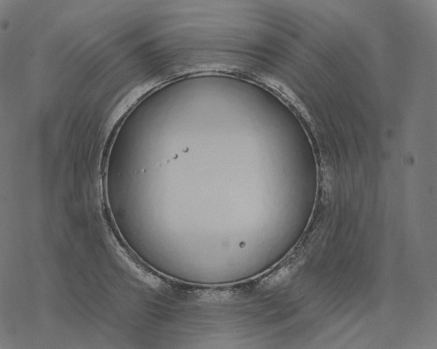 X0000077400890200611032024