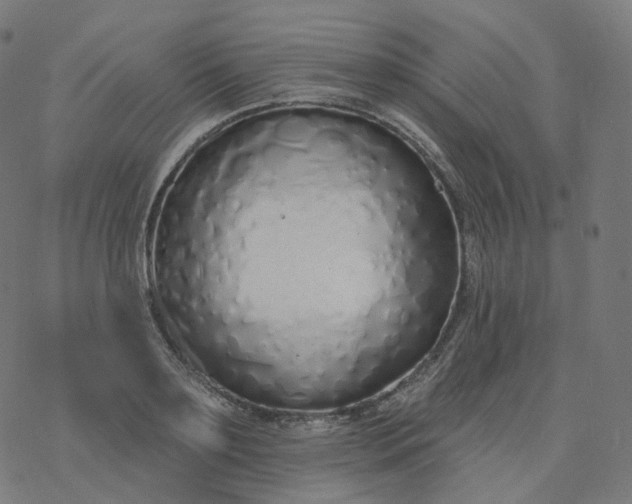 X0000077400891200611032024