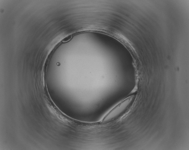 X0000077400892200611032024