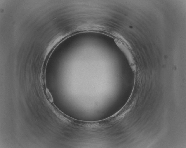 X0000077400893200611032023