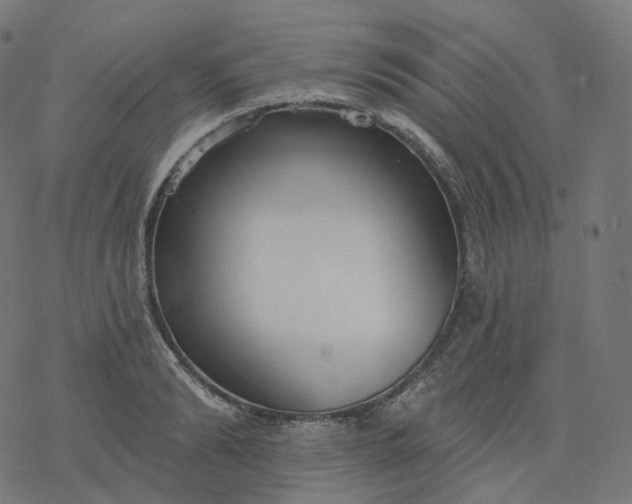 X0000077400894200611032023