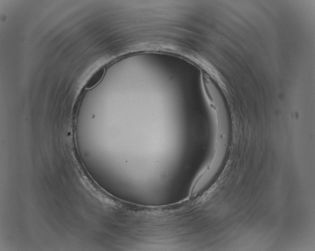 X0000077400896200611032023