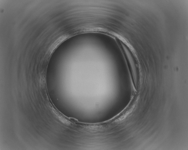 X0000077400897200611032023