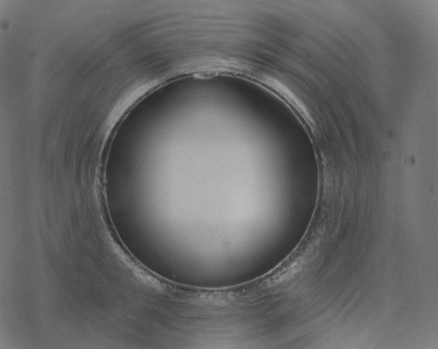 X0000077400901200611032023