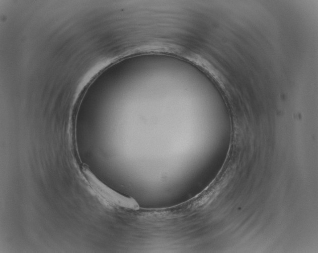 X0000077400902200611032023