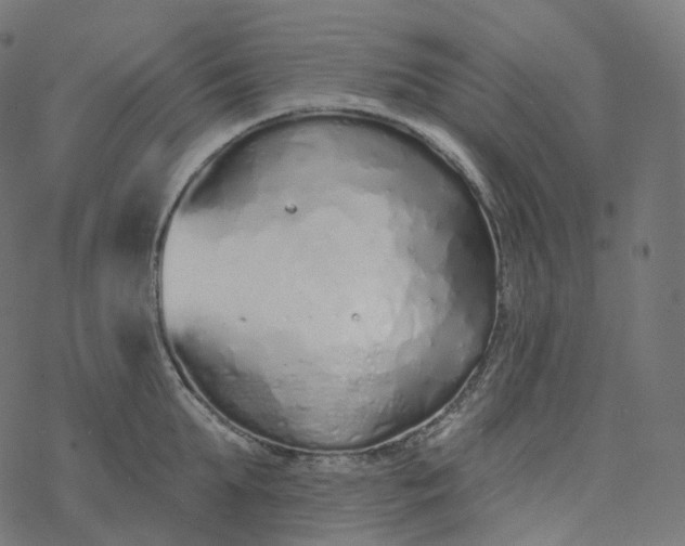 X0000077400903200611032023