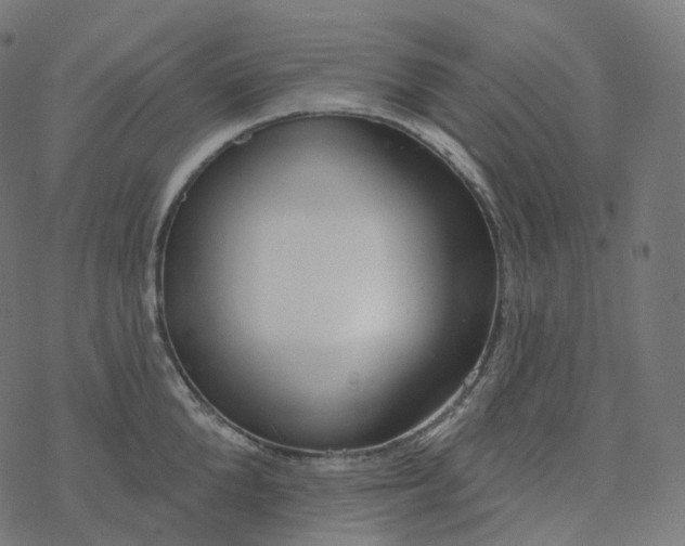 X0000077400904200611032023