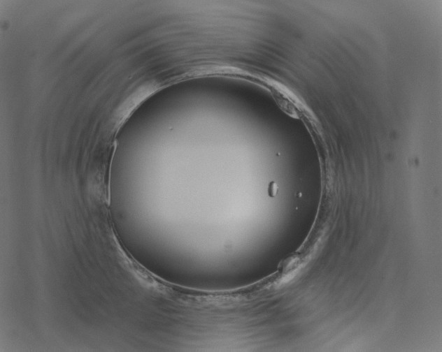 X0000077400905200611032023