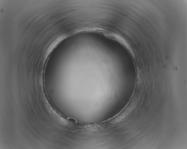 X0000077400906200611032023