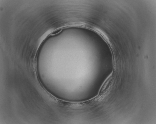 X0000077400907200611032023