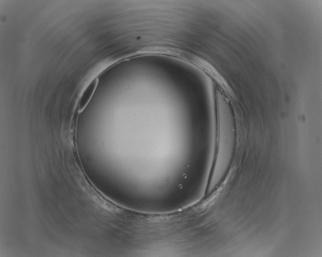 X0000077400908200611032023