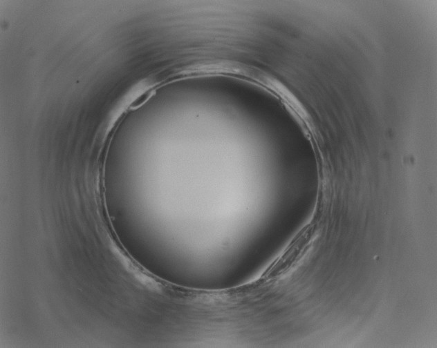 X0000077400909200611032023