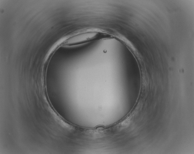 X0000077400910200611032023