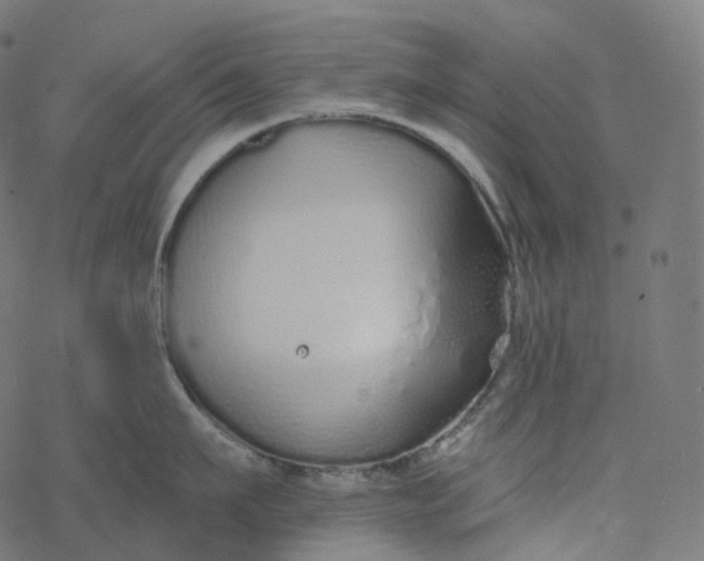 X0000077400911200611032023