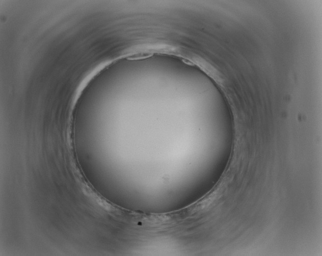 X0000077400912200611032023