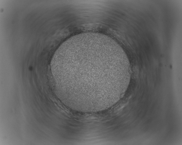 X0000077400913200611032022