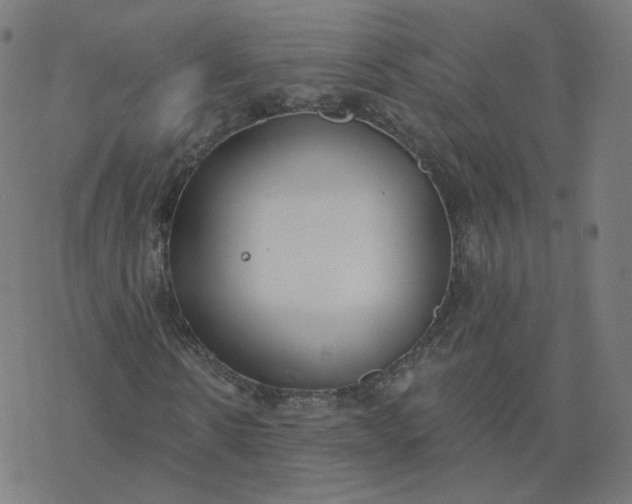 X0000077400914200611032022