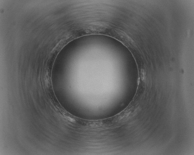 X0000077400915200611032022