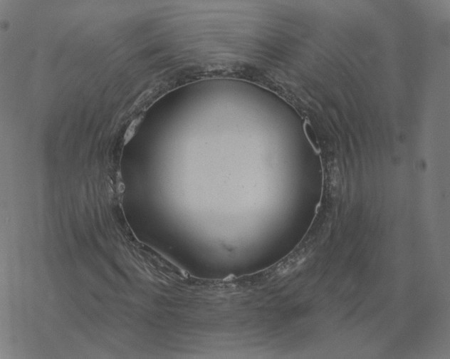 X0000077400916200611032022