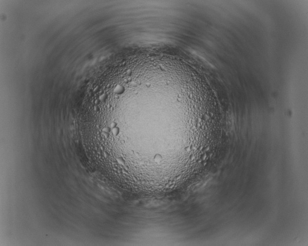 X0000077400917200611032022