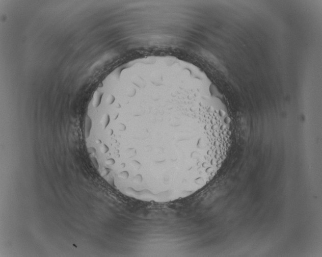 X0000077400918200611032022