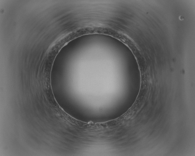 X0000077400919200611032023