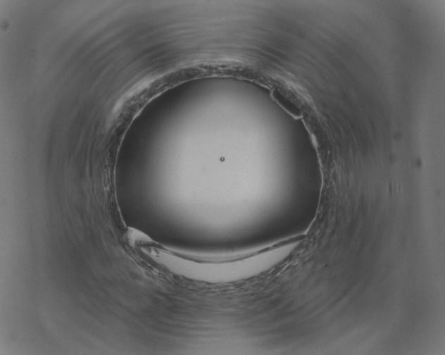 X0000077400920200611032023