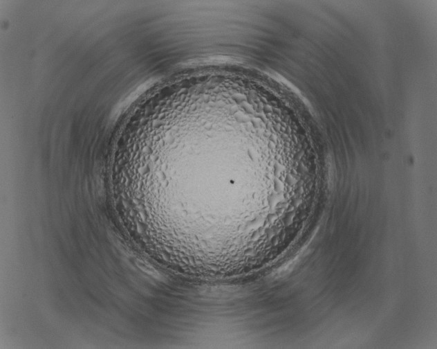 X0000077400921200611032023