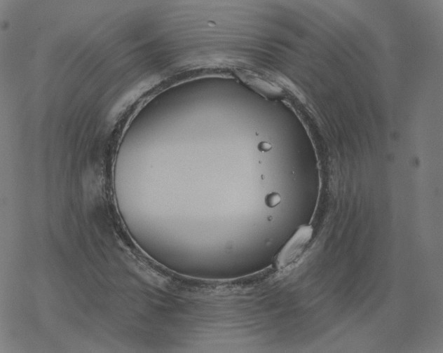 X0000077400922200611032023